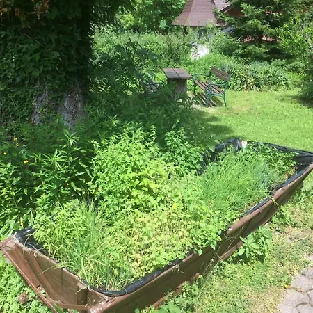 Georg Appartement Unterburg am Klopeiner See